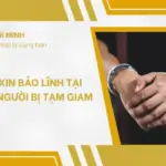 Mẫu đơn xin bảo lĩnh tại ngoại cho người bị tạm giam