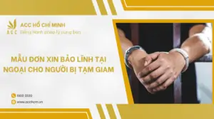 Mẫu đơn xin bảo lĩnh tại ngoại cho người bị tạm giam