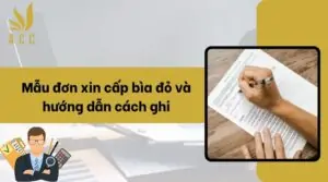 Mẫu đơn xin cấp bìa đỏ và hướng dẫn cách ghi