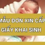 Mẫu đơn xin cấp giấy khai sinh