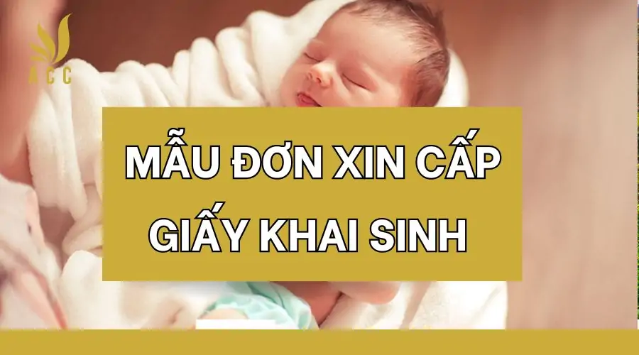 Mẫu đơn xin cấp giấy khai sinh