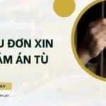 Mẫu đơn xin giảm án tù