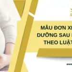 Mẫu đơn xin nghỉ dưỡng sau khi sinh theo luật định