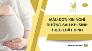 Mẫu đơn xin nghỉ dưỡng sau khi sinh theo luật định