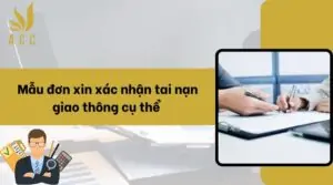 Mẫu đơn xin xác nhận tai nạn giao thông cụ thể