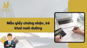 Mẫu giấy chứng nhận, kê khai nuôi dưỡng