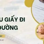 Mẫu giấy đi đường