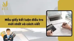 Mẫu giấy kết luận điều tra mới nhất và cách viết