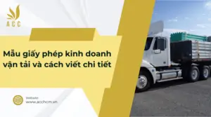 Mẫu giấy phép kinh doanh vận tải và cách viết chi tiết