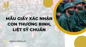 Mẫu giấy xác nhận con thương binh, liệt sỹ chuẩn