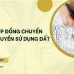 Mẫu hợp đồng chuyển nhượng quyền sử dụng đất