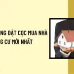 Mẫu hợp đồng đặt cọc mua nhà chung cư mới nhất