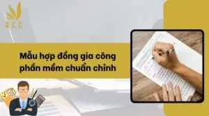 Mẫu hợp đồng gia công phần mềm chuẩn chỉnh