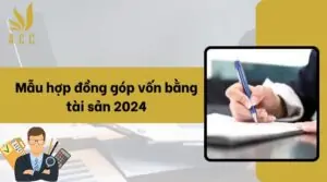 Mẫu hợp đồng góp vốn bằng tài sản 2024