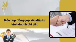 Mẫu hợp đồng góp vốn đầu tư kinh doanh chi tiết