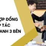 Mẫu hợp đồng hợp tác kinh doanh 3 bên