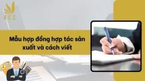 Mẫu hợp đồng hợp tác sản xuất và cách viết