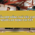 Mẫu hợp đồng thử việc cho người lao động chi tiết