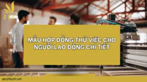 Mẫu hợp đồng thử việc cho người lao động chi tiết