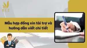 Mẫu hợp đồng xin tài trợ và hướng dẫn viết chi tiết