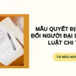 Mẫu quyết định thay đổi người đại diện pháp luật chi tiết