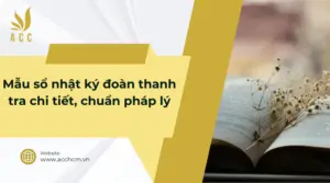 Mẫu sổ nhật ký đoàn thanh tra chi tiết, chuẩn pháp lý