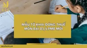 Mẫu tờ khai đóng thuế môn bài 01/LPMB mới