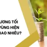 Mức lương tối thiểu vùng hiện nay là bao nhiêu?