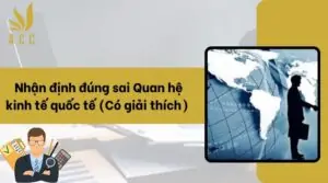 Nhận định đúng sai Quan hệ kinh tế quốc tế (Có giải thích)