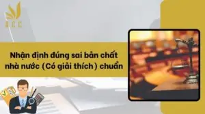 Nhận định đúng sai bản chất nhà nước (Có giải thích) chuẩn