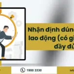 Nhận định đúng sai luật lao động (có giải thích) đầy đủ