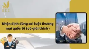 Nhận định đúng sai luật thương mại quốc tế (có giải thích)