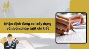 Nhận định đúng sai xây dựng văn bản pháp luật chi tiết