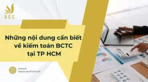 Những nội dung cần biết về kiếm toán BCTC tại TP HCM