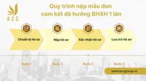 Quy trình nộp mẫu đơn cam kết đã hưởng BHXH 1 lần