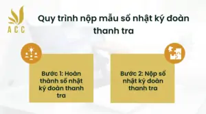 Quy trình nộp mẫu sổ nhật ký đoàn thanh tra