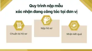 Quy trình nộp mẫu xác nhận đang công tác tại đơn vị