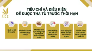 Tiêu chí và điều kiện để được tha tù trước thời hạn