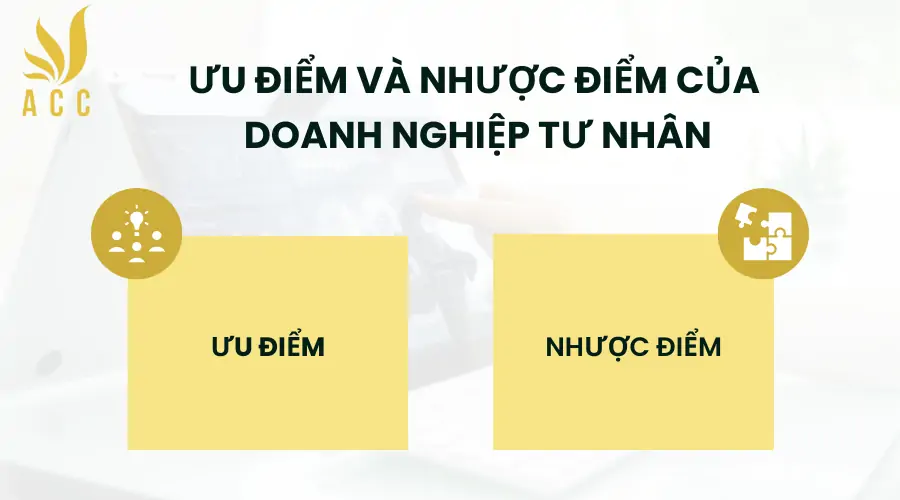 ƯU ĐIỂM VÀ NHƯỢC ĐIỂM CỦA DOANH NGHIỆP TƯ NHÂN