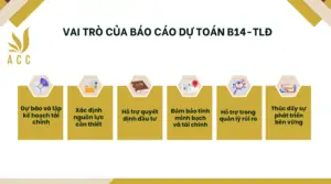 Vai trò của báo cáo dự toán B14-TLĐ