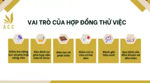 Vai trò của hợp đồng thử việc