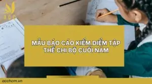 Mẫu báo cáo kiểm điểm tập thể chi bộ cuối năm 2024