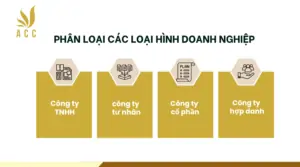 Phân loại các loại hình doanh nghiệp