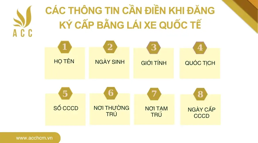 cac-thong-tin-can-dien-khi-dang-ky-cap-bang-lai-xe-quoc-te