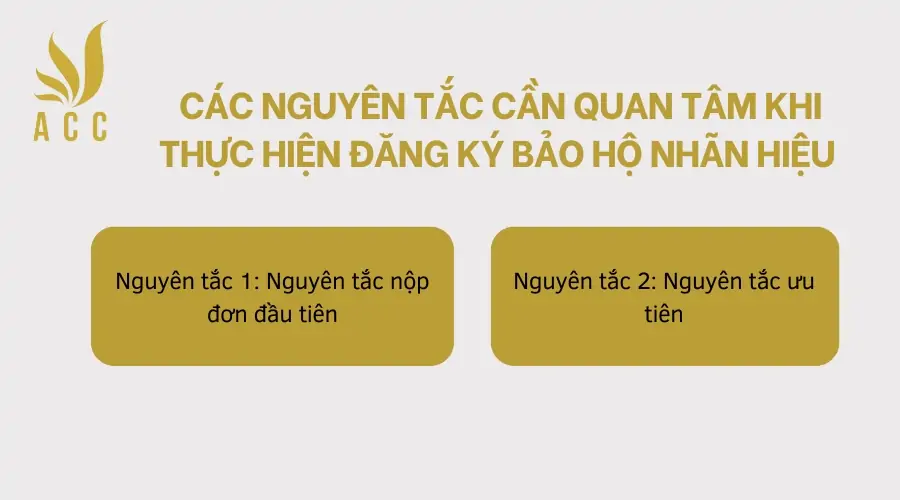 Cac-nguyen-tac-can-quan-tam-khi-thuc-hien-dang-ky-bao-ho-nhan-hieu