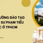 Các trường đào tạo ngành sư phạm tiểu học ở TPHCM