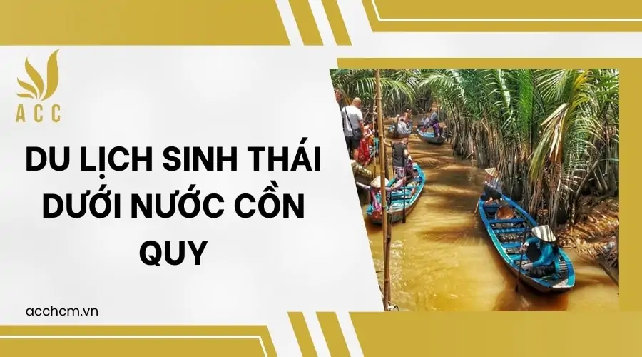 du-lich-sinh-thai-duoi-nuoc-con-quy