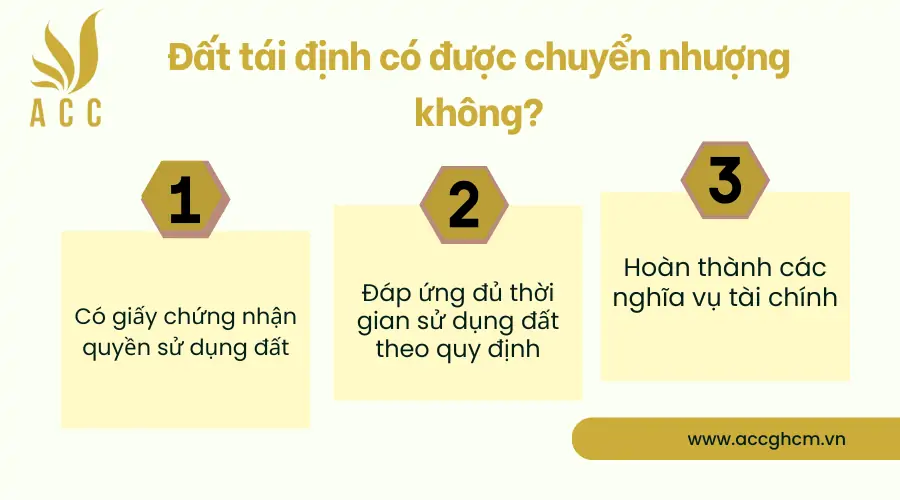 Dat-tai-dinh-co-duoc-chuyen-nhuong-khong