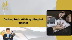 Dich-vu-tach-so-hong-rieng-tai-TPHCM.png