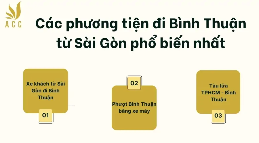 ca-phuong-tien-di-binh-thuan-tu-sai-gon-pho-bien-nhat